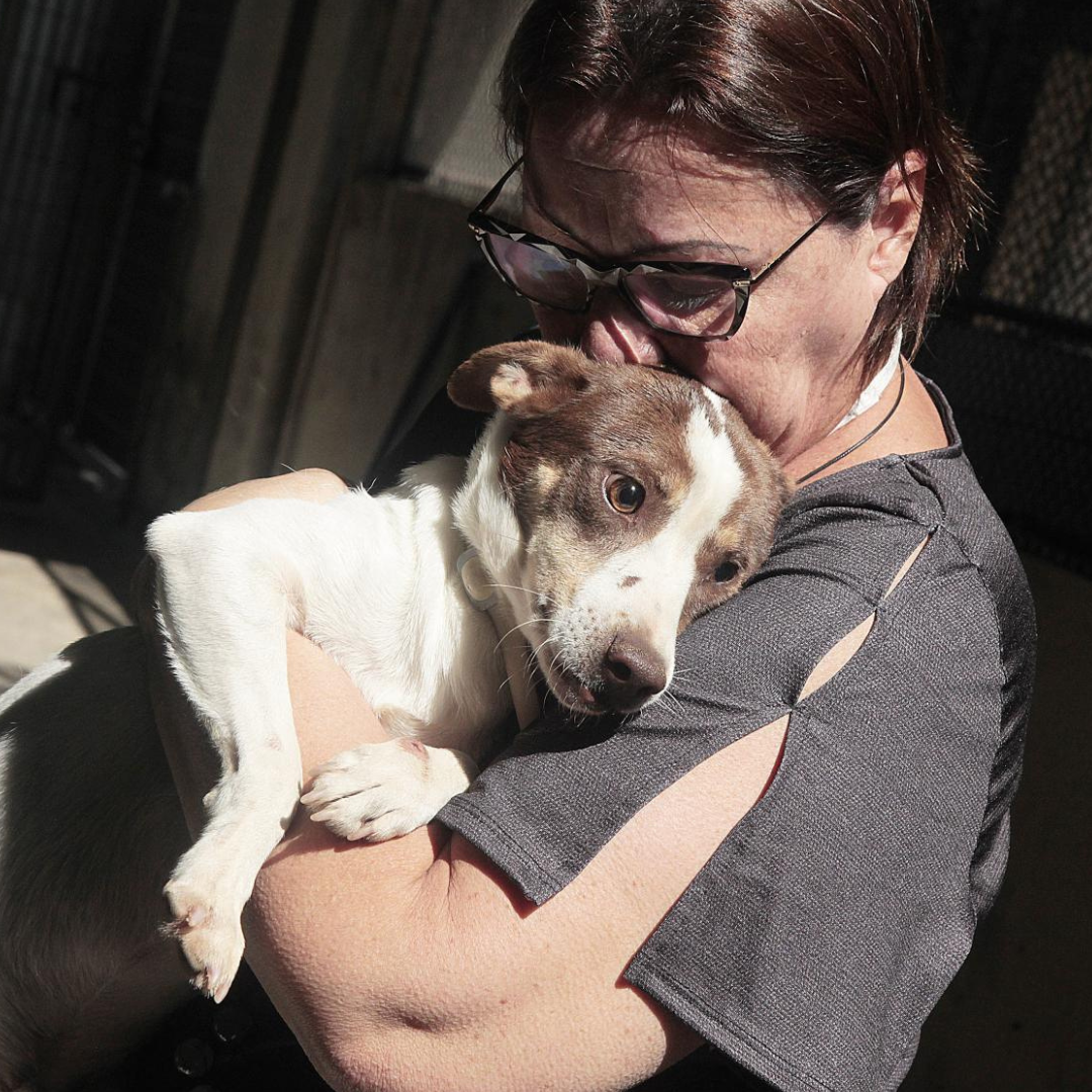 Testimonio de Laura Gómez